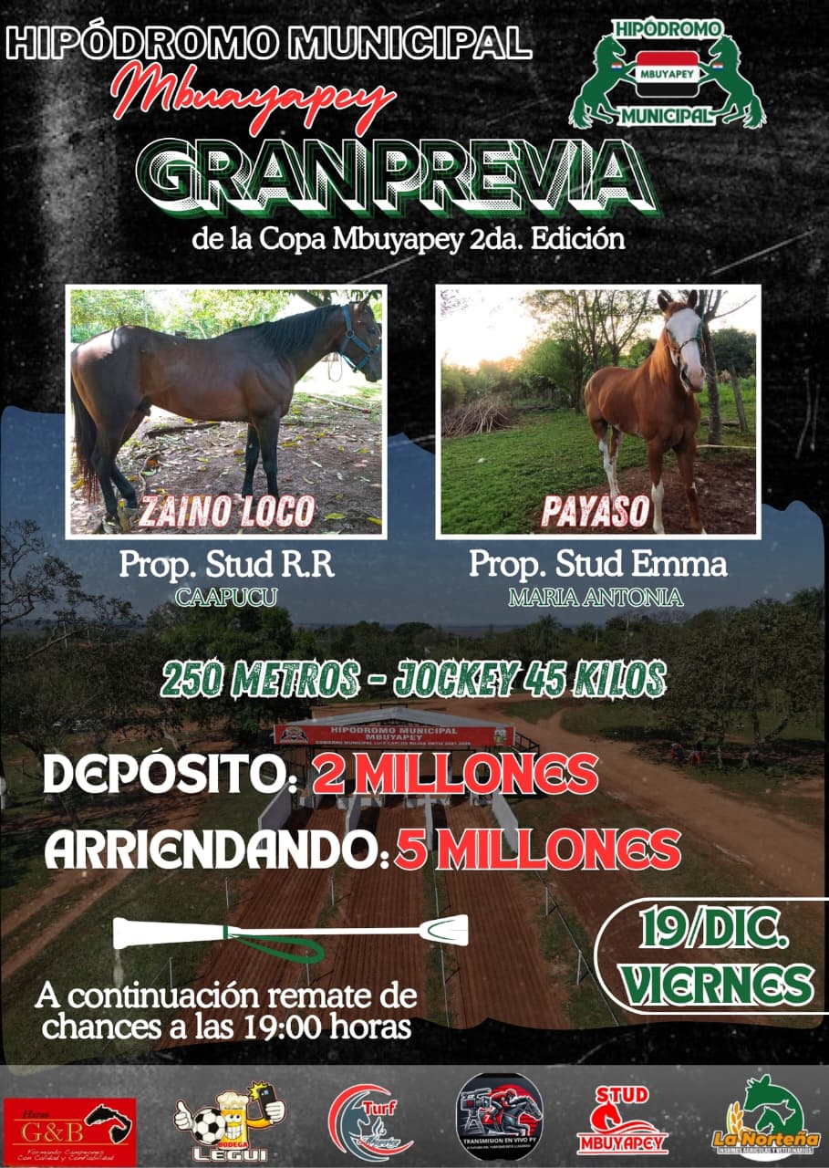 WhatsApp Image 2025-12-17 at 11.37.18