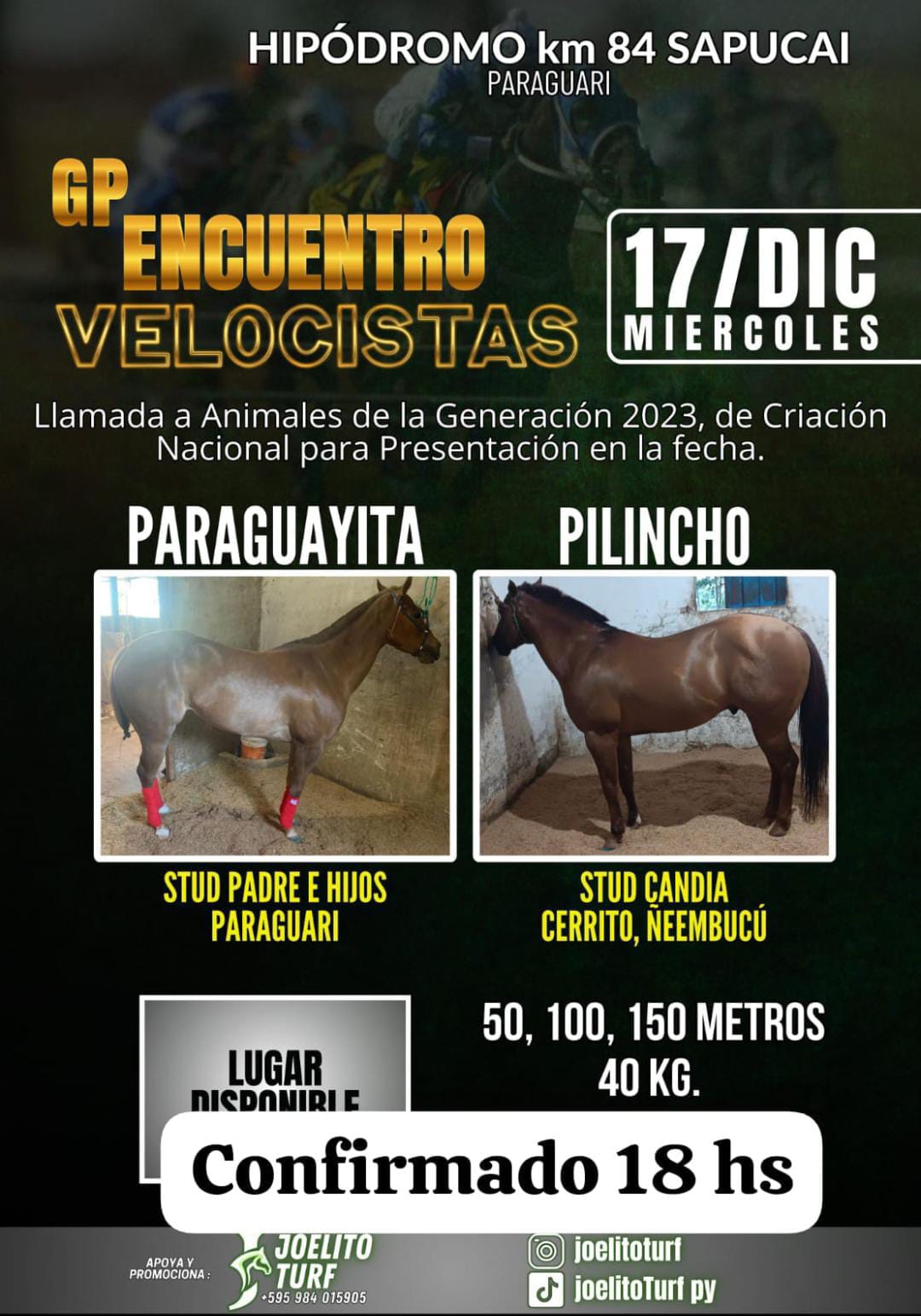 WhatsApp Image 2025-12-17 at 15.57.08