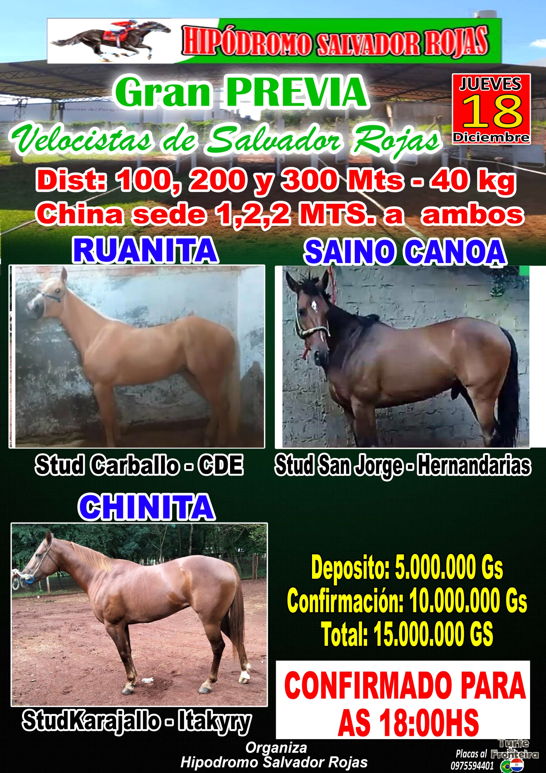 WhatsApp Image 2025-12-17 at 15.58.58