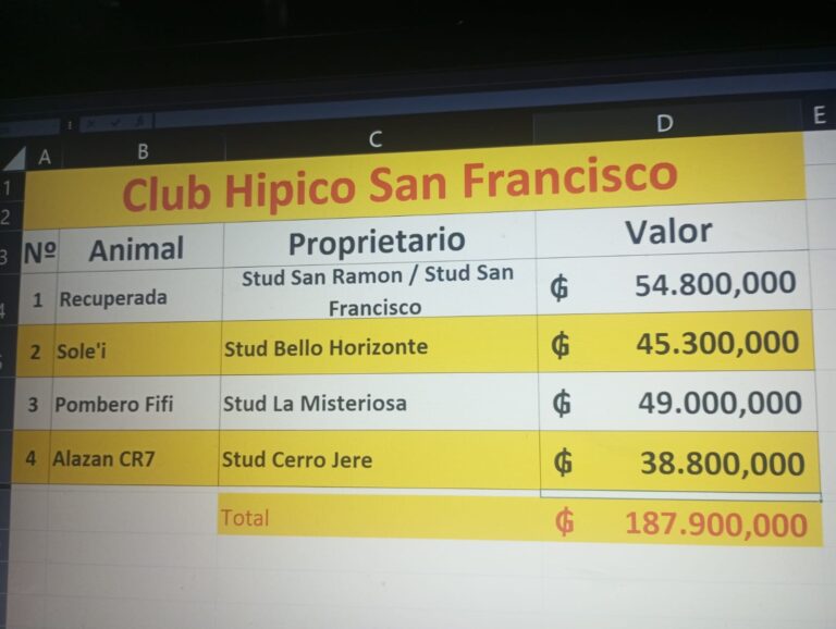 WhatsApp Image 2026-01-03 at 09.40.46