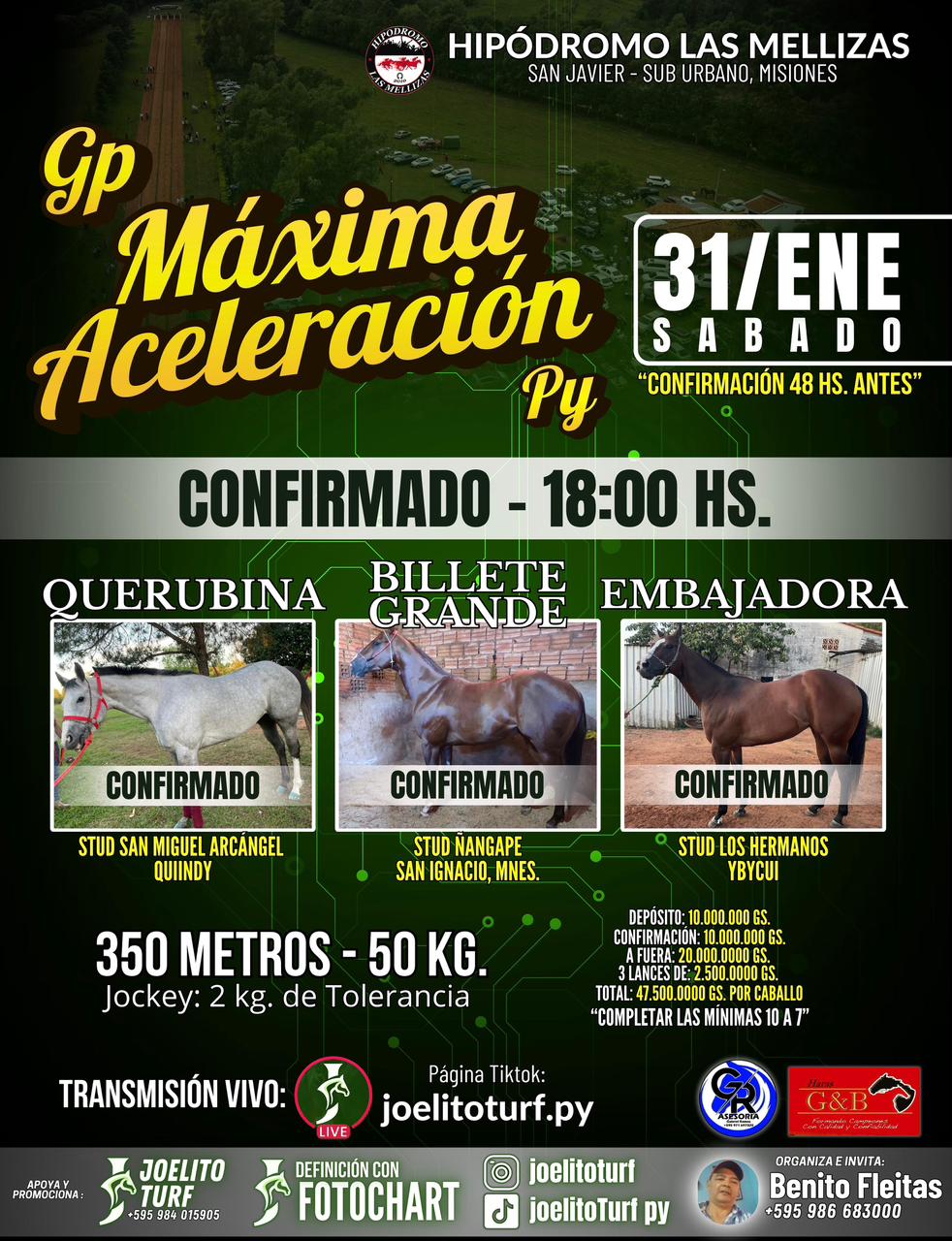 WhatsApp Image 2026-01-29 at 17.15.32