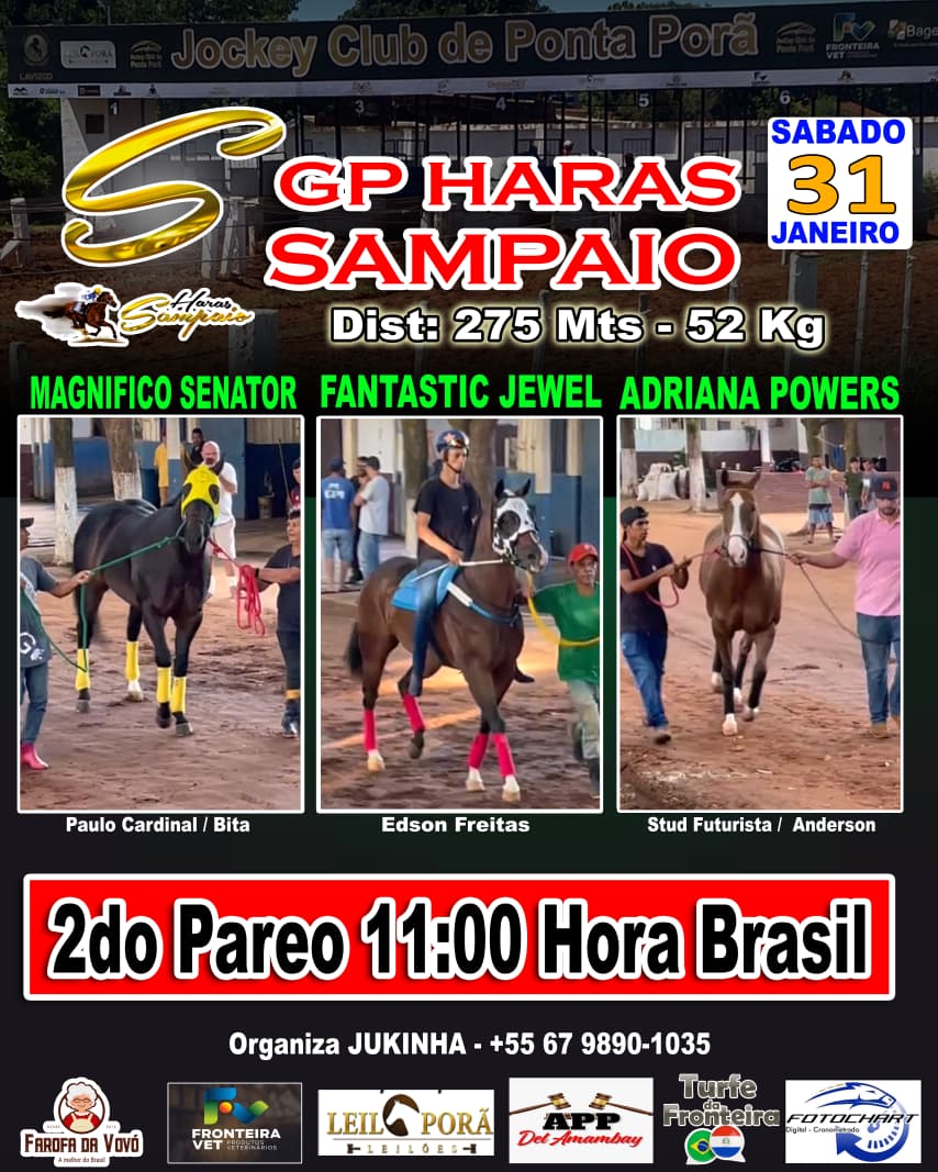 WhatsApp Image 2026-01-31 at 08.11.40 (1)