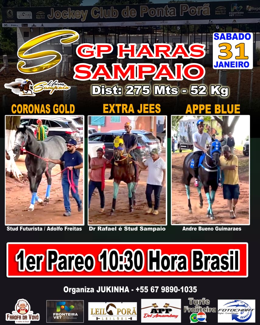 WhatsApp Image 2026-01-31 at 08.11.40