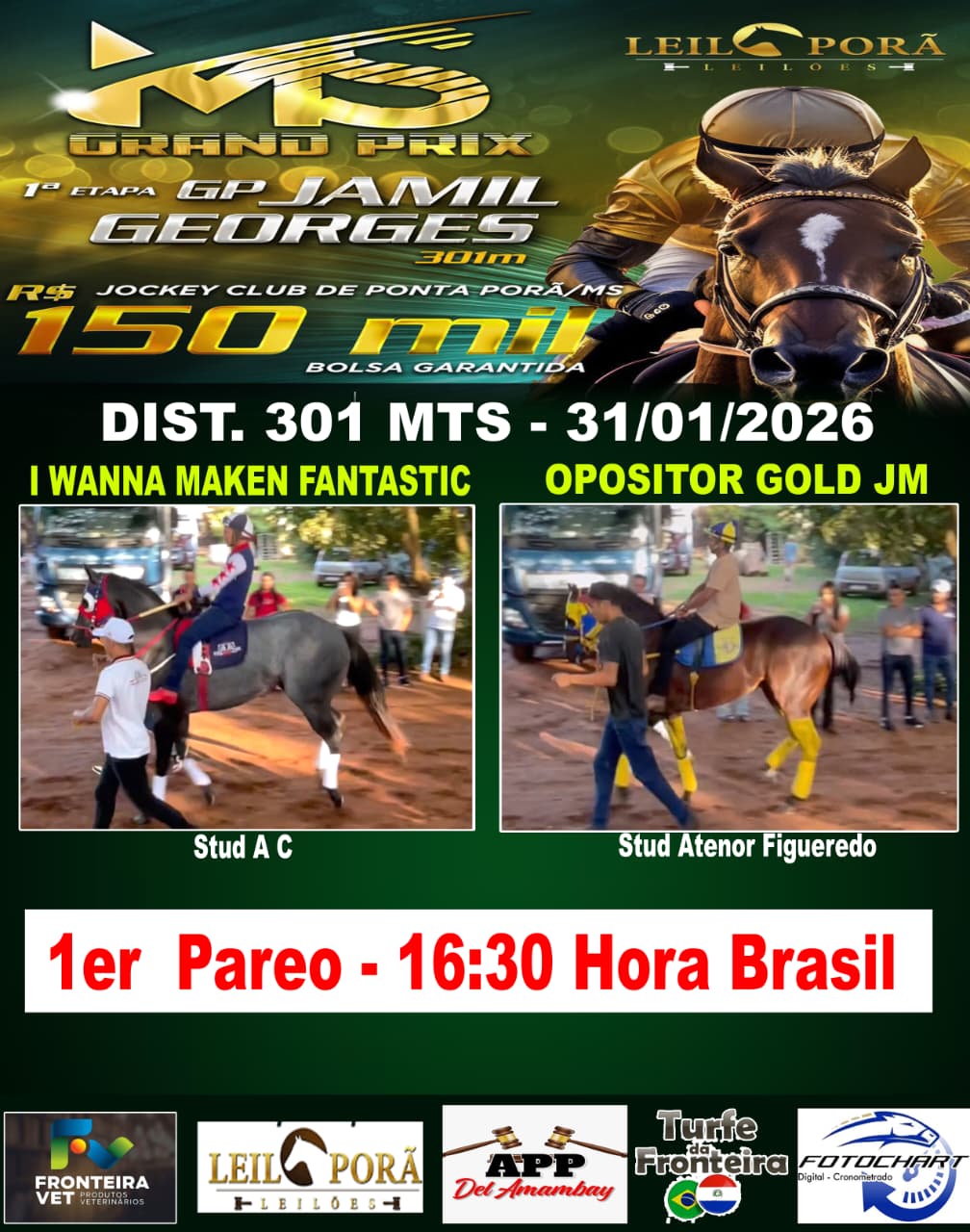 WhatsApp Image 2026-01-31 at 08.11.53