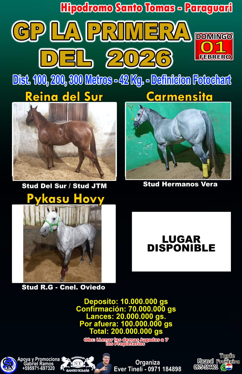 WhatsApp Image 2026-01-31 at 12.29.22