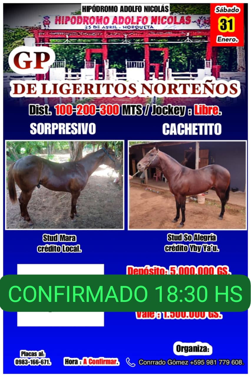 WhatsApp Image 2026-01-31 at 17.52.41