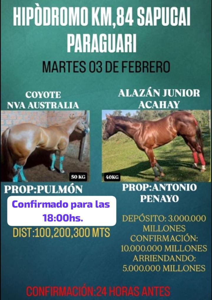 WhatsApp Image 2026-02-03 at 08.33.20