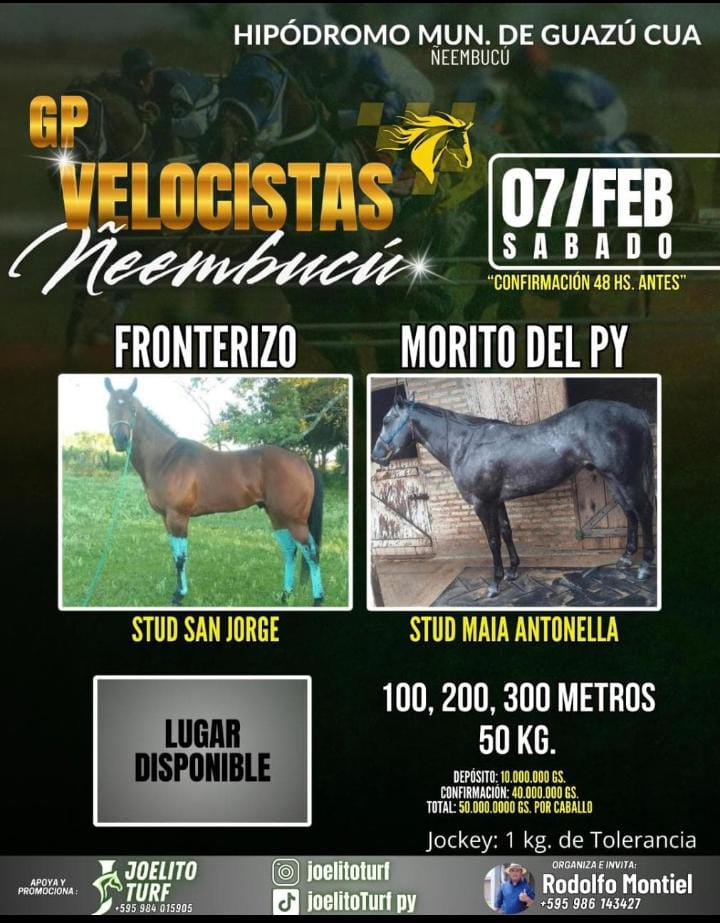 WhatsApp Image 2026-02-04 at 06.33.52