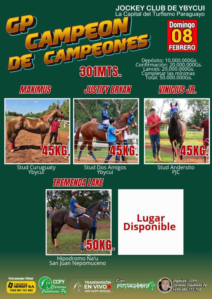 WhatsApp Image 2026-02-04 at 06.34.05