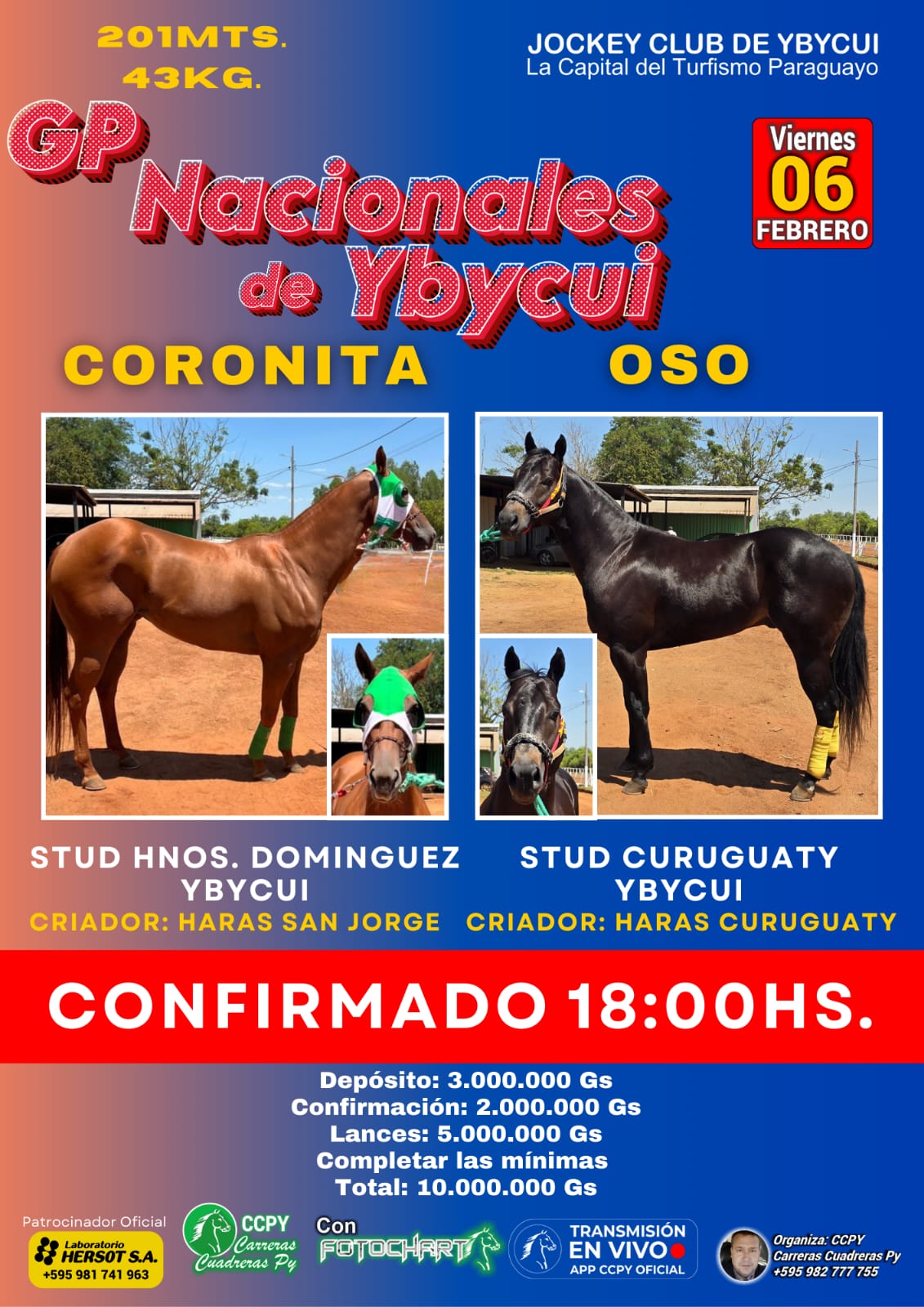 WhatsApp Image 2026-02-05 at 18.12.48