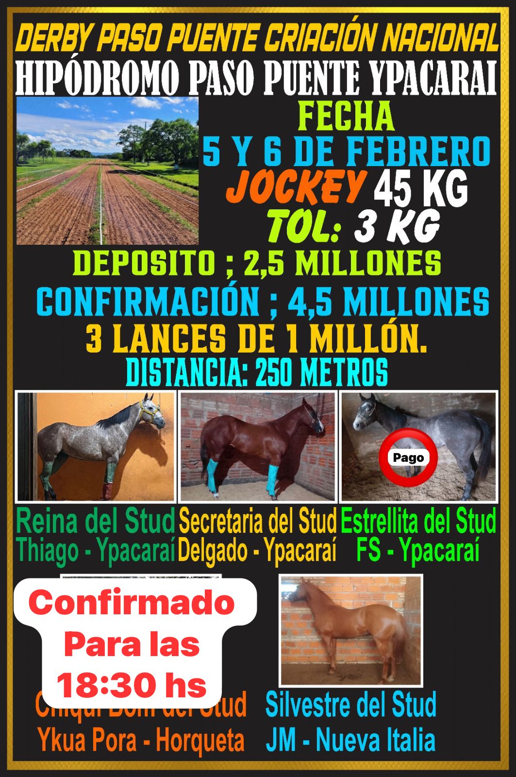 WhatsApp Image 2026-02-06 at 12.27.21