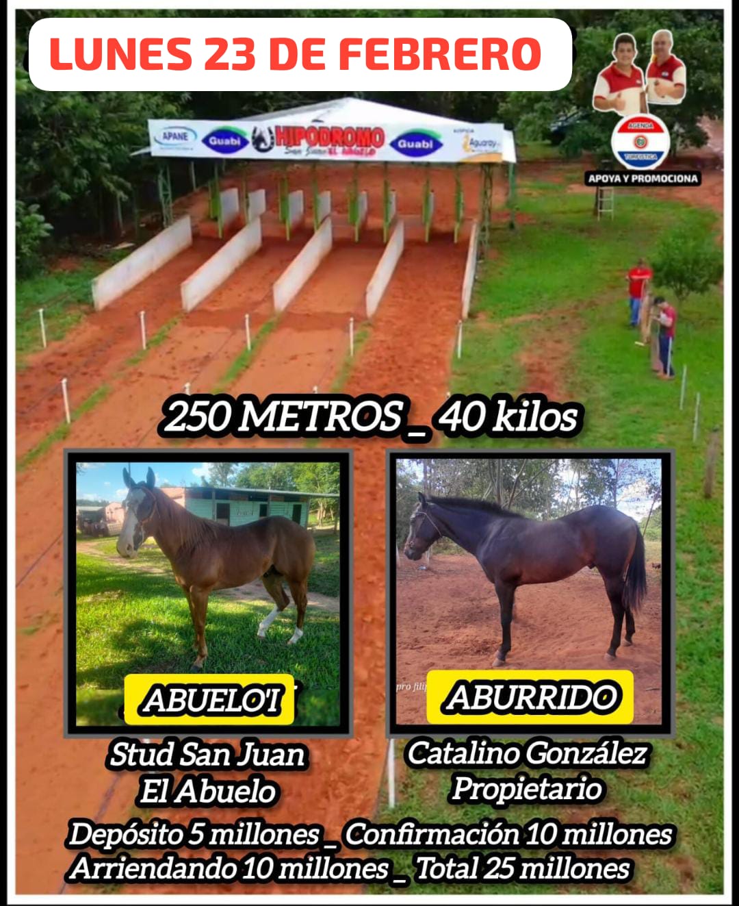 WhatsApp Image 2026-02-19 at 8.44.21 AM